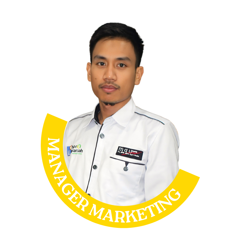 Ali Saputra